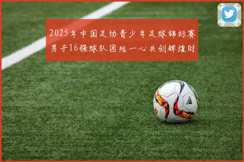 2025年中国足协青少年足球锦标赛男子16强球队团结一心共创辉煌时刻
