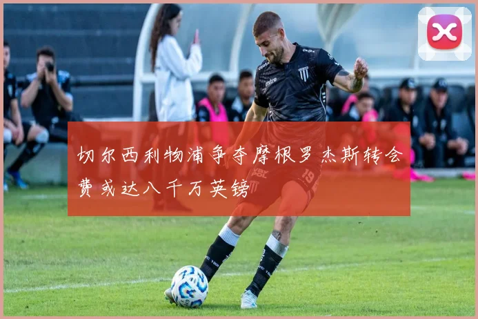 切尔西利物浦争夺摩根罗杰斯转会费或达八千万英镑